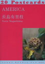 【3980円以上送料無料】AMERICA 20Postcards/長島有里枝/写真