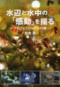 【3980円以上送料無料】水辺と水中の「感動」を撮る プロフェッショナルの眼/知来要/著