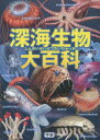 【3980円以上送料無料】深海生物大百科/長沼毅/監修 武田正倫/監修 土田真二/監修 橋爪義弘/イラスト 梅田紀代志/イラスト 山屋/イラスト 松永拓馬/背景イラスト