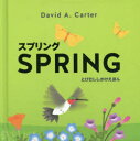 大日本絵画 とびだししかけえほん 【3980円以上送料無料】スプリング／デビッド・A・カーター／さく　きたむらまさお／やく