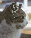 【3980円以上送料無料】東京のらねこ/カヴァー/著