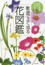 【3980円以上送料無料】散歩でよく見る花図鑑　気になる花がすぐわかる／亀田龍吉