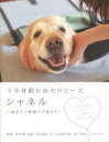 【3980円以上送料無料】下半身動かぬセラピー犬シャネル 緩和ケア病棟の天使たち/青木健/監修