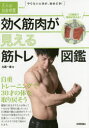 【3980円以上送料無料】効く筋肉が見える筋トレ図鑑 自重トレーニングで30才の体を取り戻そう/比嘉一雄/著(3)