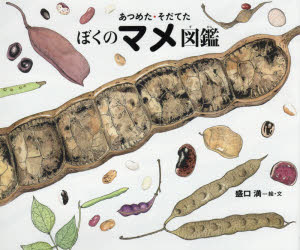 【3980円以上送料無料】あつめた そだてたぼくのマメ図鑑／盛口満／絵 文