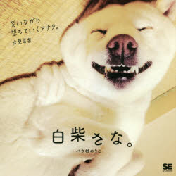 翔泳社 犬／写真集 69P　15×15cm シロシバ　サナ バウムラ，ノリコ