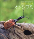 【3980円以上送料無料】うまれたよ!オトシブミ/安田守/写真・文