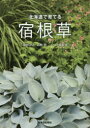【3980円以上送料無料】北海道で育てる宿根草/北村真弓/著 高林初/著 工藤敏博/監修