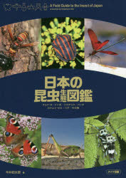 【3980円以上送料無料】日本の昆虫生態図鑑　チョウ・ガ／トンボ／コウチュウ／バッタ　カメムシ・セミ／ハチ／その他／今井初太郎／著