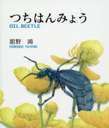 【3980円以上送料無料】つちはんみょう／舘野鴻／作絵