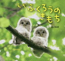 【3980円以上送料無料】えぞふくろうのきもち/横田雅博/著