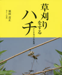 【中古】(非常に良い)草刈りをするハチ: アシナガバチの生活