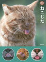 【3980円以上送料無料】ねこじた/新紀元社/編集