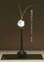 【3980円以上送料無料】茶花がたり 心の花を入れる/泉本宗悠/著