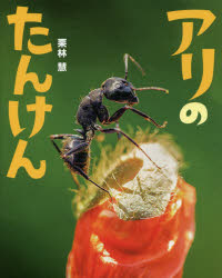 【3980円以上送料無料】アリのたんけん／栗林慧／写真