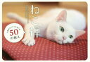 【3980円以上送料無料】ねこ禅 人生がふニャっとなごむ50の教え/菅原研州/監修