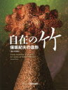 【送料無料】自在の竹 保坂紀夫の造形 第二作品集/保坂紀夫/著
