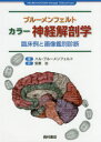 ブルーメンフェルト　カラー神経解剖学　臨床例と画像鑑別診断／ハル・ブルーメンフェルト／著　安原治／訳