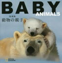 NATIONAL　GEOGRAPHIC　CUBE　BOOK 日経ナショナルジオグラフィック社 動物／写真集 503P　17×17cm ドウブツ　ノ　オヤコ　ナシヨナル　ジオグラフイツク　NATIONAL　GEOGRAPHIC　キユ−ブ　ブツク　CUBE　BOOK イルドス，アンジエラ．セレナ　ILDOS，ANGELA　SERENA　フジイ，ルミ