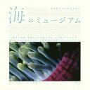 【3980円以上送料無料】海のミュージアム 地球最大の生態系を探る/ルイス・ブラックウェル/著 千葉啓恵/訳