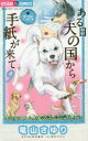 【3980円以上送料無料】ある日犬の国から手紙が来て 9/竜山さゆり/著 松井雄功/原作 田中マルコ/原作