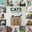 【3980円以上送料無料】CATS　ON　INSTAGRAM／＠cats＿of＿instagram／著