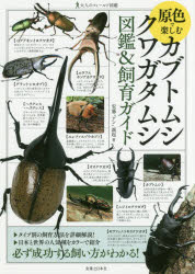 【3980円以上送料無料】原色で楽しむカブトムシ・クワガタムシ図鑑＆飼育ガイド／安藤“アン”誠起／著 tc-books-10240318 トップカルチャーBOOKSTORE パッケージ画像