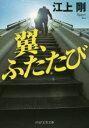 【3980円以上送料無料】翼、ふたたび/江上剛/著