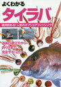 【3980円以上送料無料】よくわかるタイラバ 絶対釣れる!人気のオフショアフィッシング/