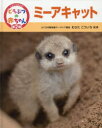 【3980円以上送料無料】くらべてみよう!どうぶつの赤ちゃん 13/むらたこういち/監修