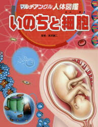 人体図鑑 【3980円以上送料無料】マルチアングル人体図鑑　〔6〕／高沢謙二／監修　松島浩一郎／絵　川島晶子／文