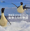 【3980円以上送料無料】写真家だけが知っている動物たちの物語/ロザムンド・キッドマン・コックス/著 片山美佳子/訳