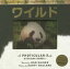 【3980円以上送料無料】ワイルド／キャシー・ウォラード／ぶん　ダン・ケイネン／さく　きたなおこ／やく