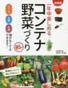 【3980円以上送料無料】一年中楽しめるコンテナ野菜づくり85種/金田初代/著 金田洋一郎/写真