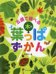 【送料無料】五感で調べる木の葉っぱずかん／林将之／著