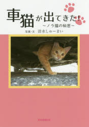 東京図書出版 猫／写真集 89P　21cm クルマネコ　ガ　デテ　キタ　ノラネコ　ノ　ヒミツ シミズ，シユ−マイ