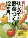 【3980円以上送料無料】イラストでよくわかるはじめての野菜づくり12か月 定番・人気の新鮮野菜100種/板木利隆/著
