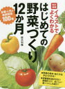 イラストでよくわかる 家の光協会 家庭菜園 255P　26cm イラスト　デ　ヨク　ワカル　ハジメテ　ノ　ヤサイズクリ　ジユウニカゲツ　ハジメテ　ノ　ヤサイズクリ　ジユウニカゲツ　イラスト／デ／ヨク／ワカル／ハジメテ／ノ／ヤサイズクリ／12カゲツ　テイバン　ニンキ　ノ　シンセン　ヤサイ　ヒヤクシユ　テイバン／ニンキ／ノ イタギ，トシタカ