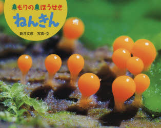 【3980円以上送料無料】もりのほうせきねんきん／新井文彦／写真・文
