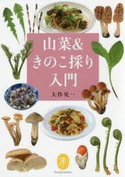 【3980円以上送料無料】山菜＆きの