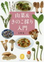 【3980円以上送料無料】山菜&きのこ採り入門/大作晃一/著