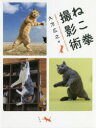 【3980円以上送料無料】ねこ拳撮影術/久方広之/著