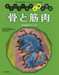 【3980円以上送料無料】骨と筋肉　体を動かすしくみ　電子顕微鏡で見る人体の不思議／宮澤七郎／監修　..