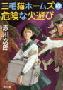 三毛猫ホームズの危険な火遊び／赤川次郎／〔著〕