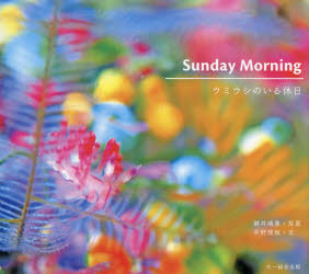 【3980円以上送料無料】Sunday　Morning　ウミウシのいる休日／鍵井靖章／写真　中野理枝／文