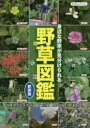 【3980円以上送料無料】野草図鑑 身近な野草が見分けられる 日本の野草を季節ごとに網羅した野草図鑑の決定版!/