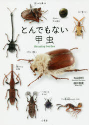【3980円以上送料無料】とんでもない甲虫／丸山宗利／著 福井敬貴／著