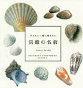 【3980円以上送料無料】子どもと一緒に覚えたい貝殻の名前/東海大学海洋学部/監修 海洋科学博物館/監修 加古川利彦/絵