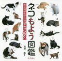 【3980円以上送料無料】ネコもよう図鑑 色や柄がちがうのはニャンで?/浅羽宏/著