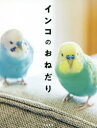 【3980円以上送料無料】インコのおねだり/磯崎哲也/監修